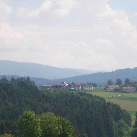 Ferienwohnung Rachel Mit Herrlichem Ausblick Rinchnach Exterior foto