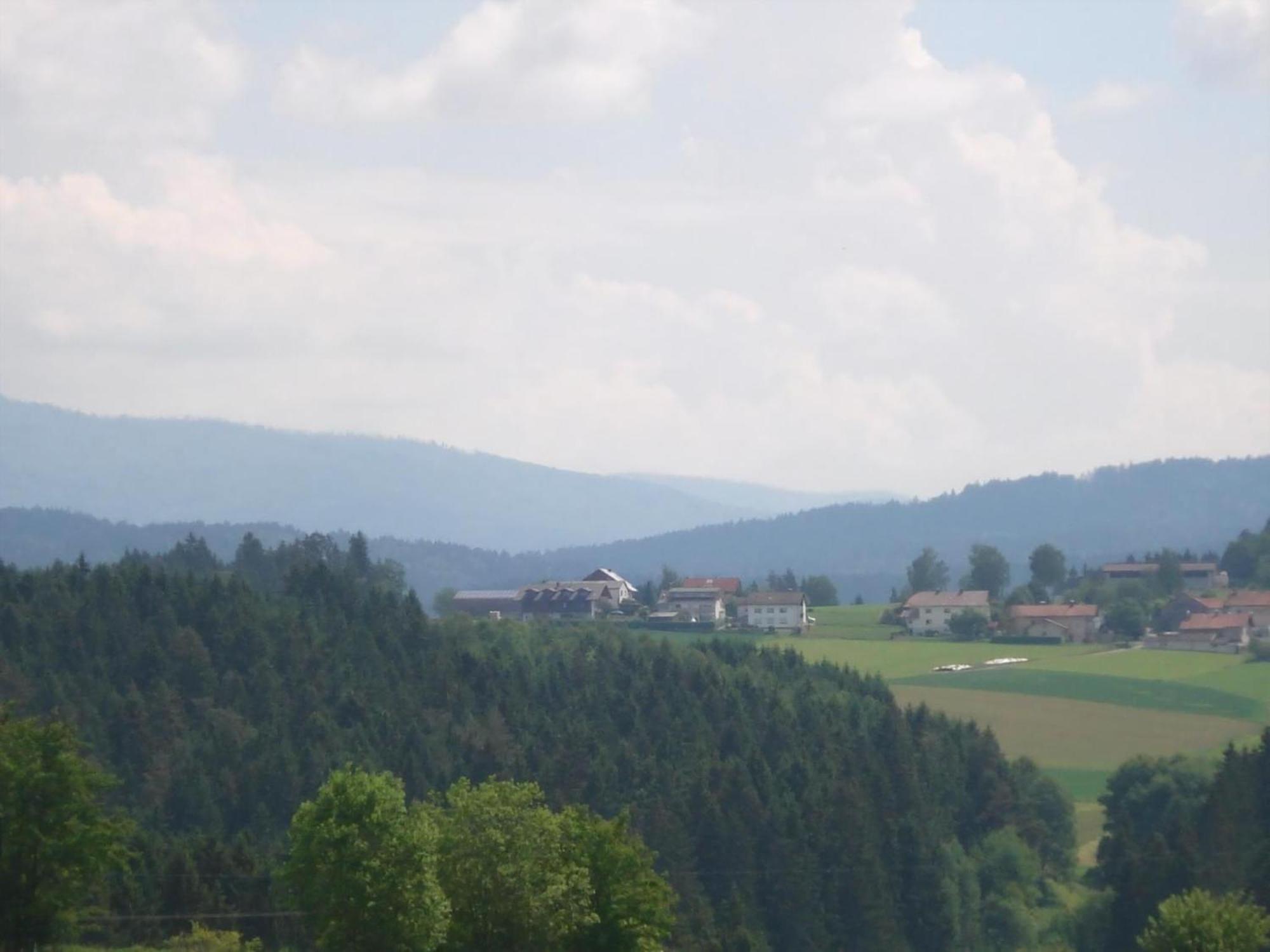 Ferienwohnung Rachel Mit Herrlichem Ausblick Rinchnach Exterior foto